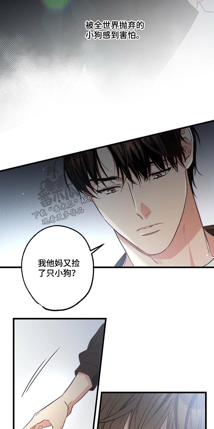 第77章：责任13