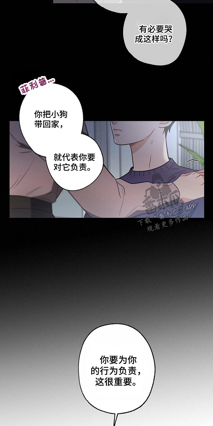 第77章：责任7