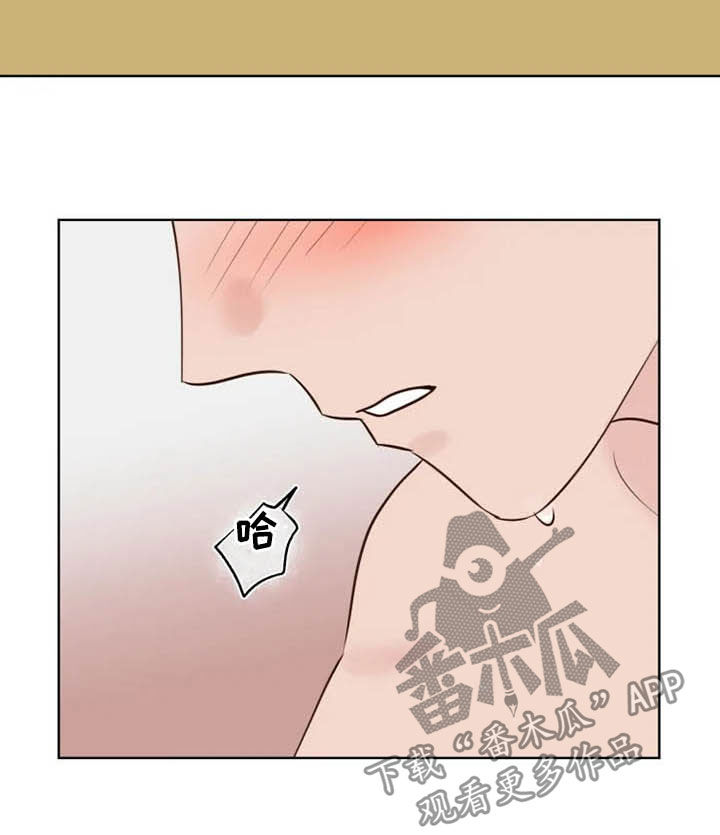 第18章：特别大使14