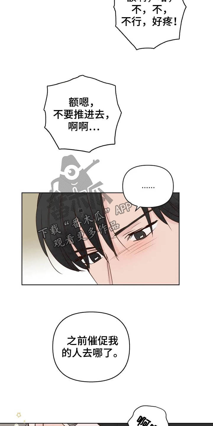 第17章：补回来13