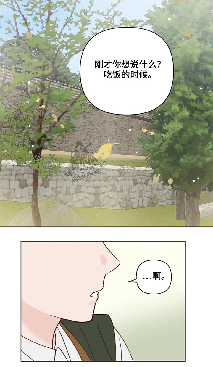 第30章：散步17