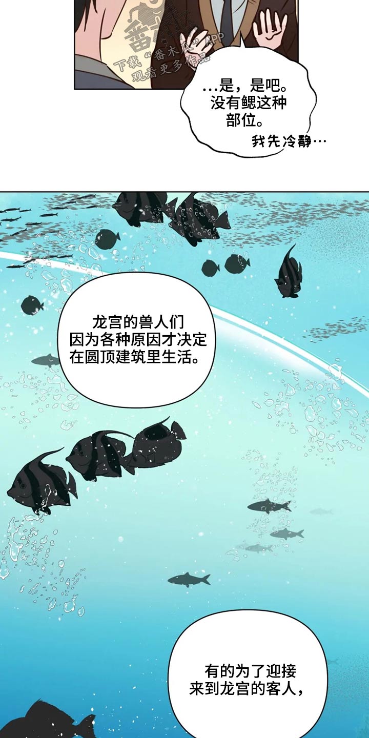 第35章：检测2