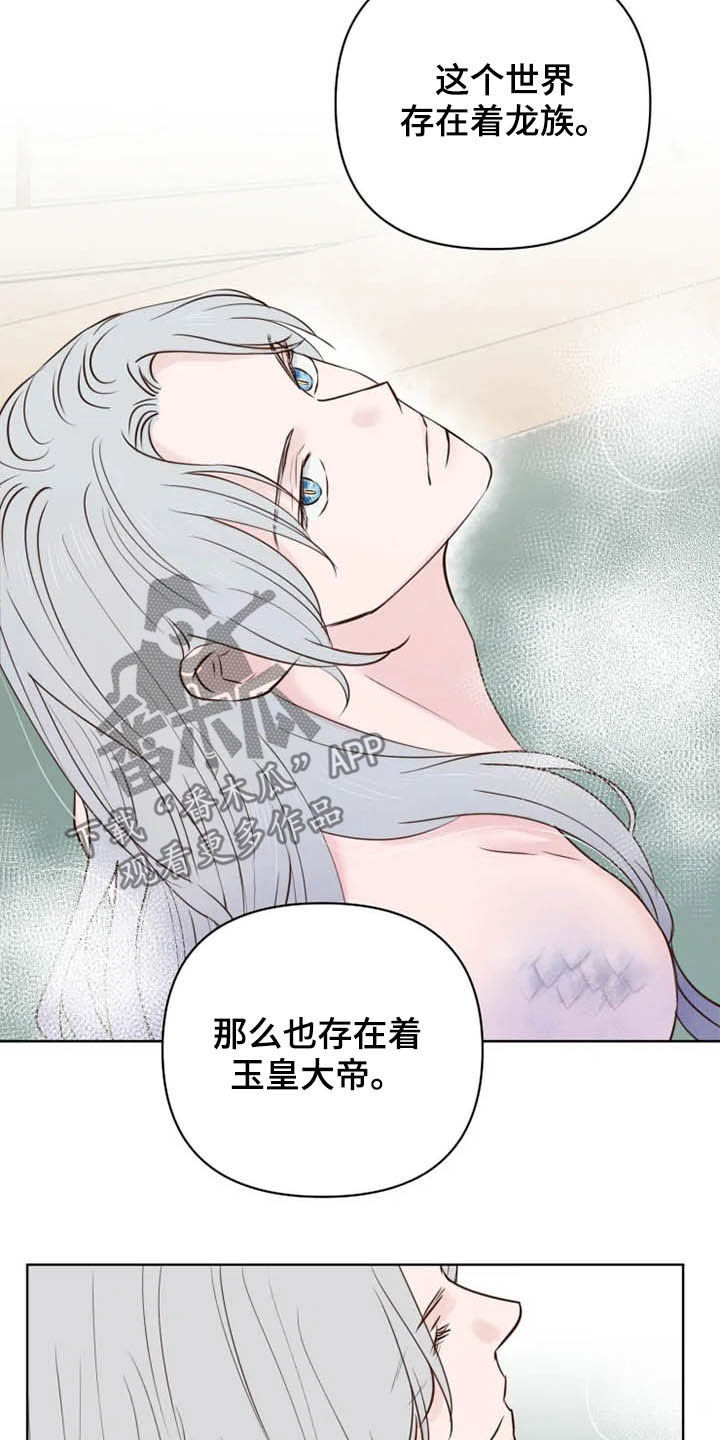 第20章：等待时机6