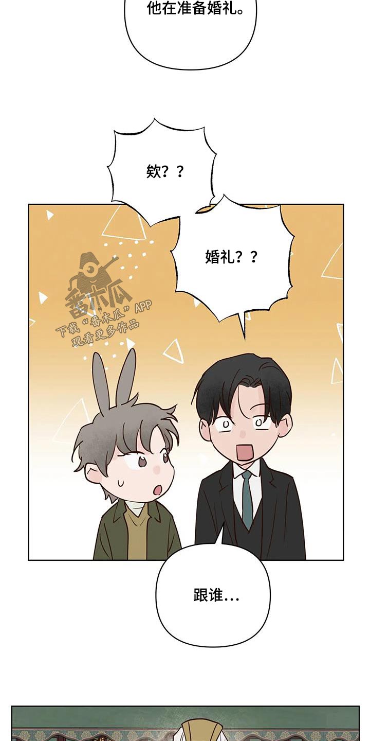 第107章：决定了12