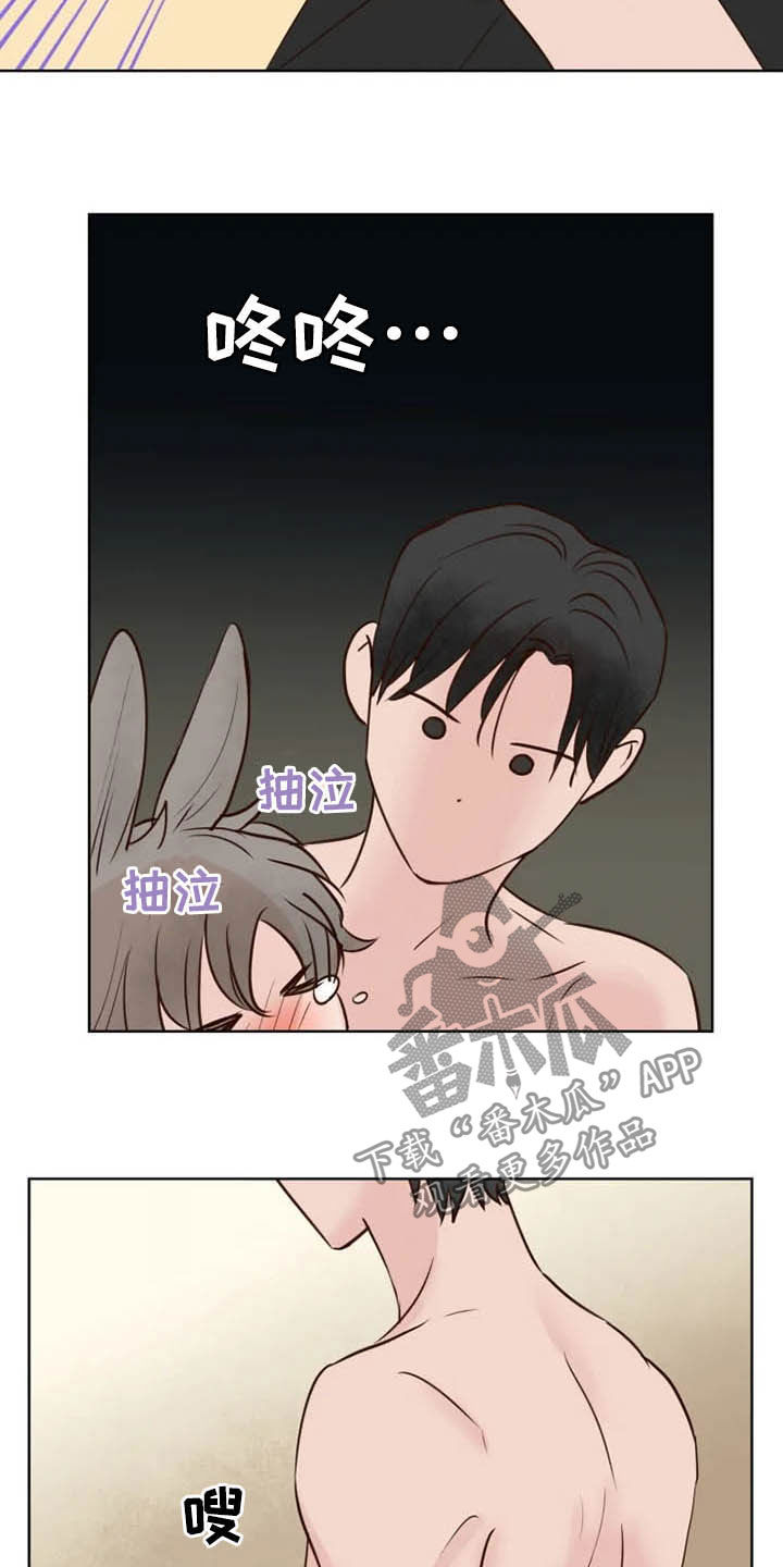 第19章：任重道远18