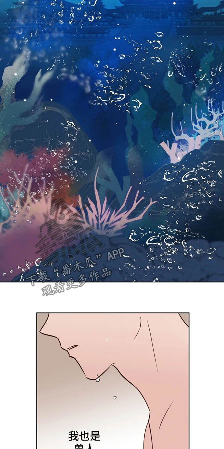 第18章：特别大使4