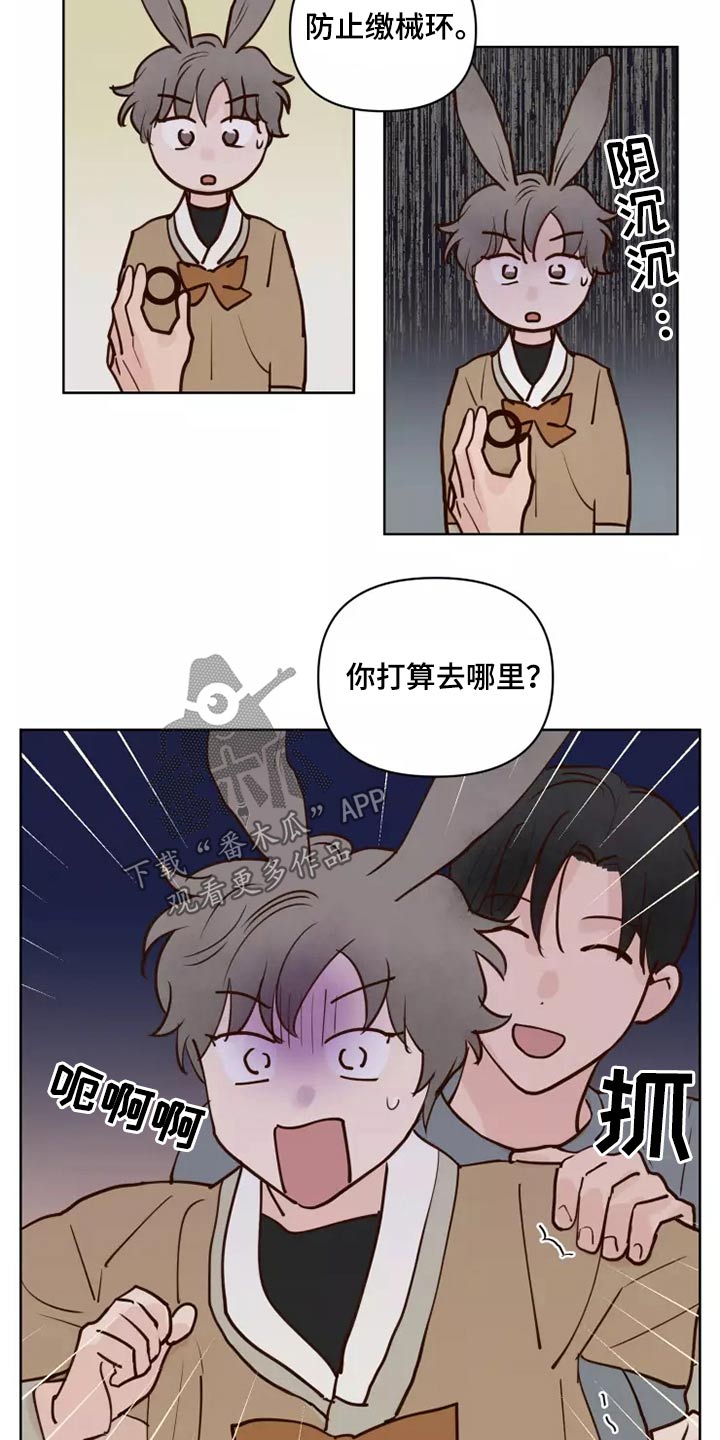 第58章：让我看看11