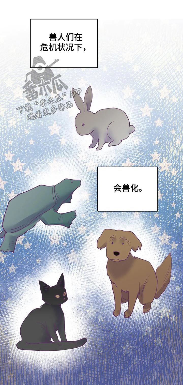 第96章：没事了5