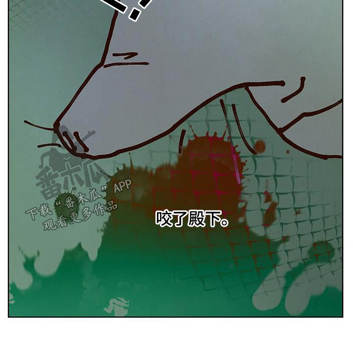 第93章：啃咬22