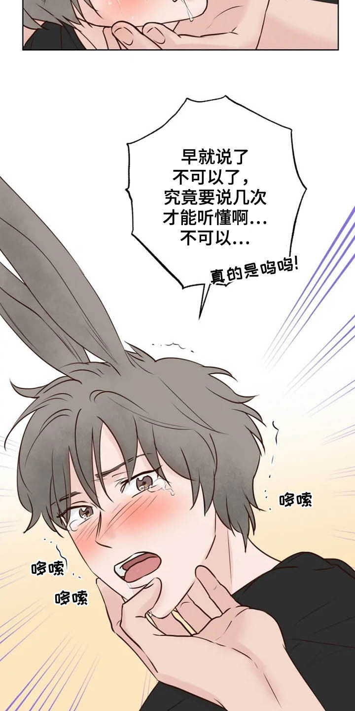 第19章：任重道远17