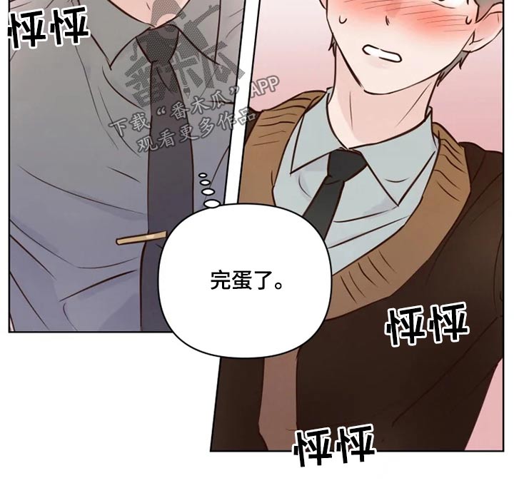 第41章：很清楚16
