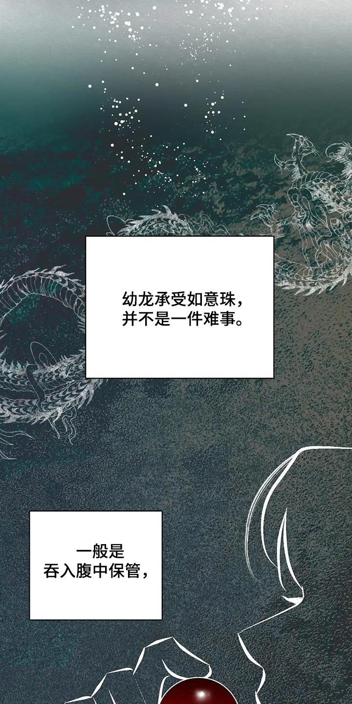 第83章：龙珠3