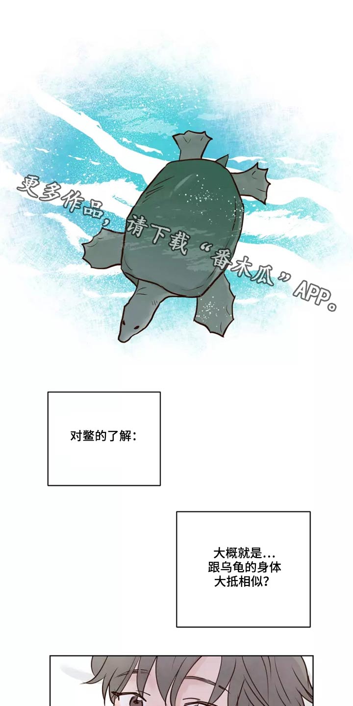 第52章：快说0