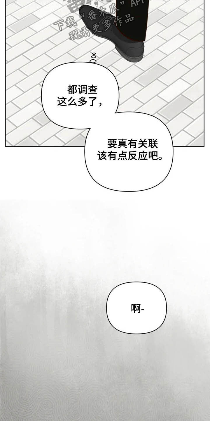 第23章：调查17