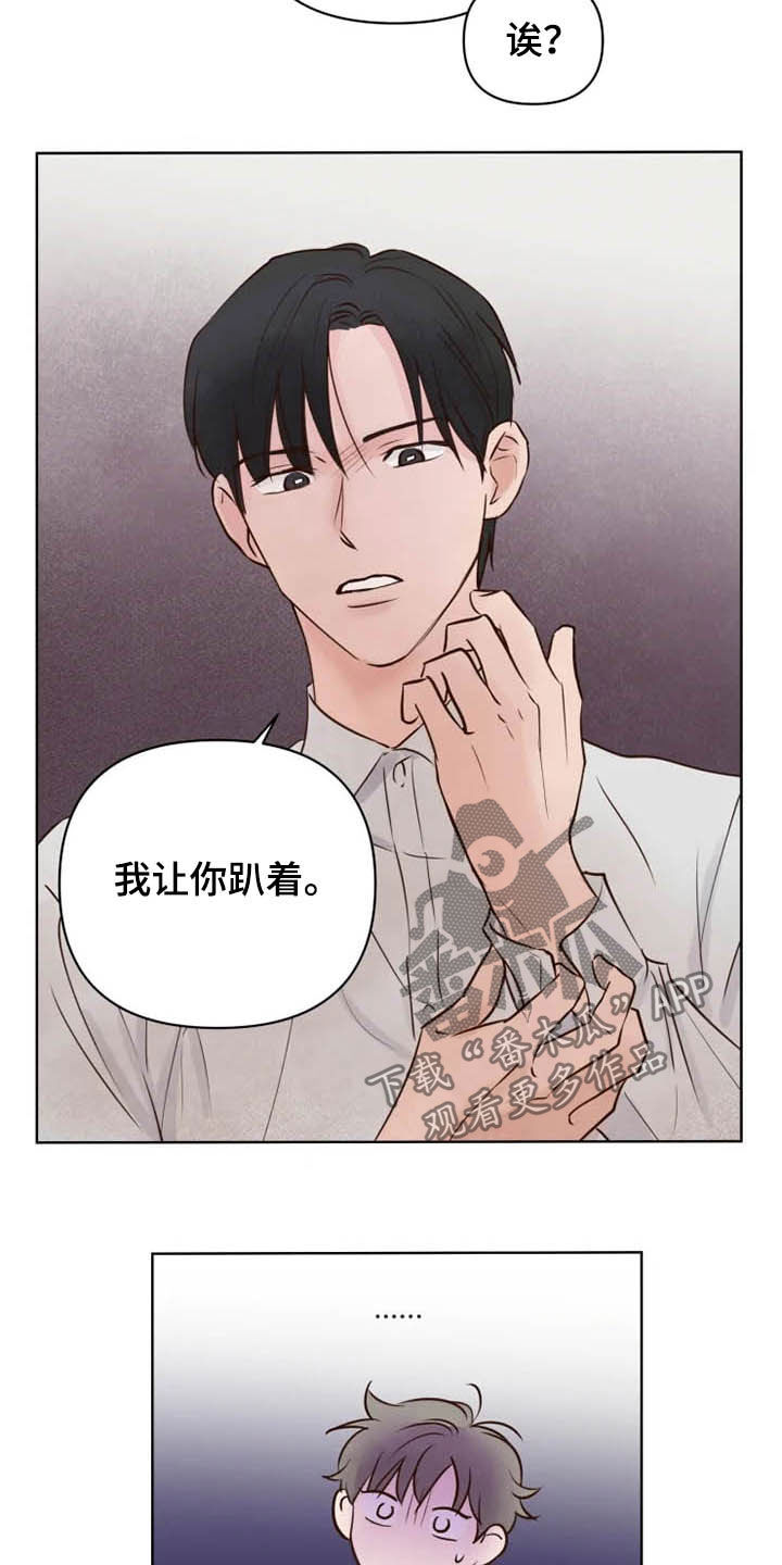 第17章：补回来3