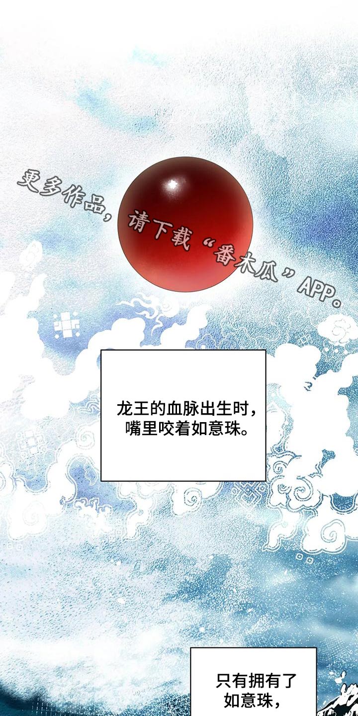 第83章：龙珠0