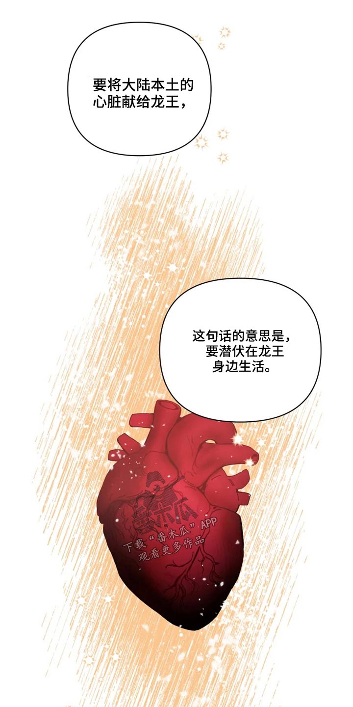 第39章：协议书13