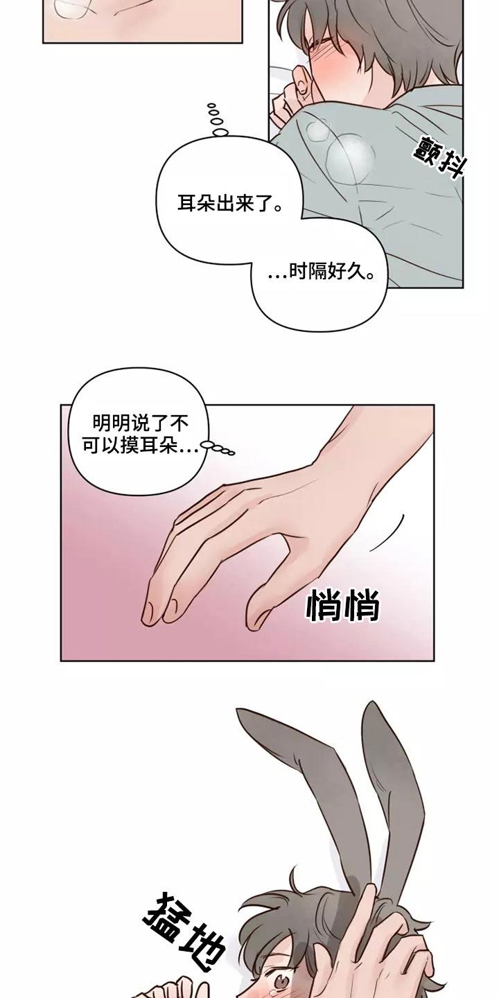 第42章：愿意17