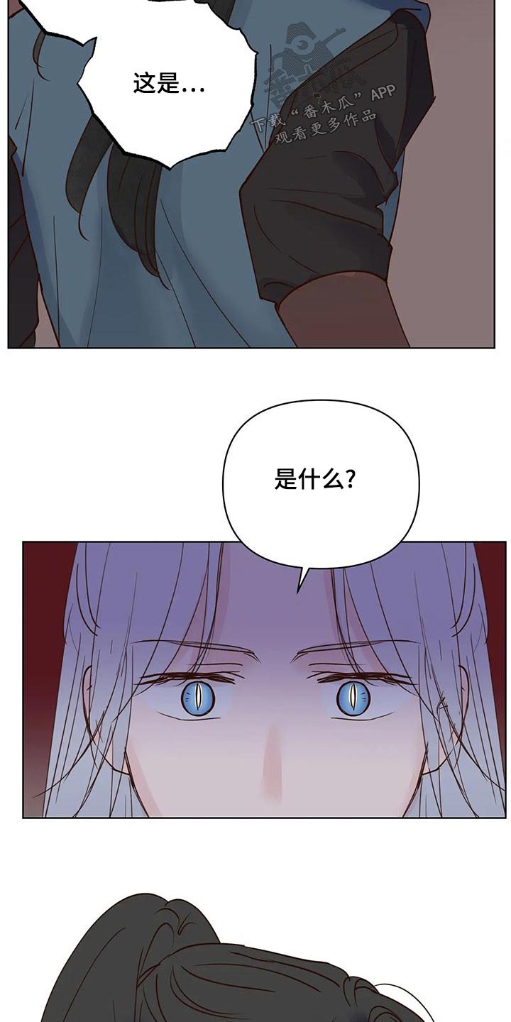 第81章：那是19