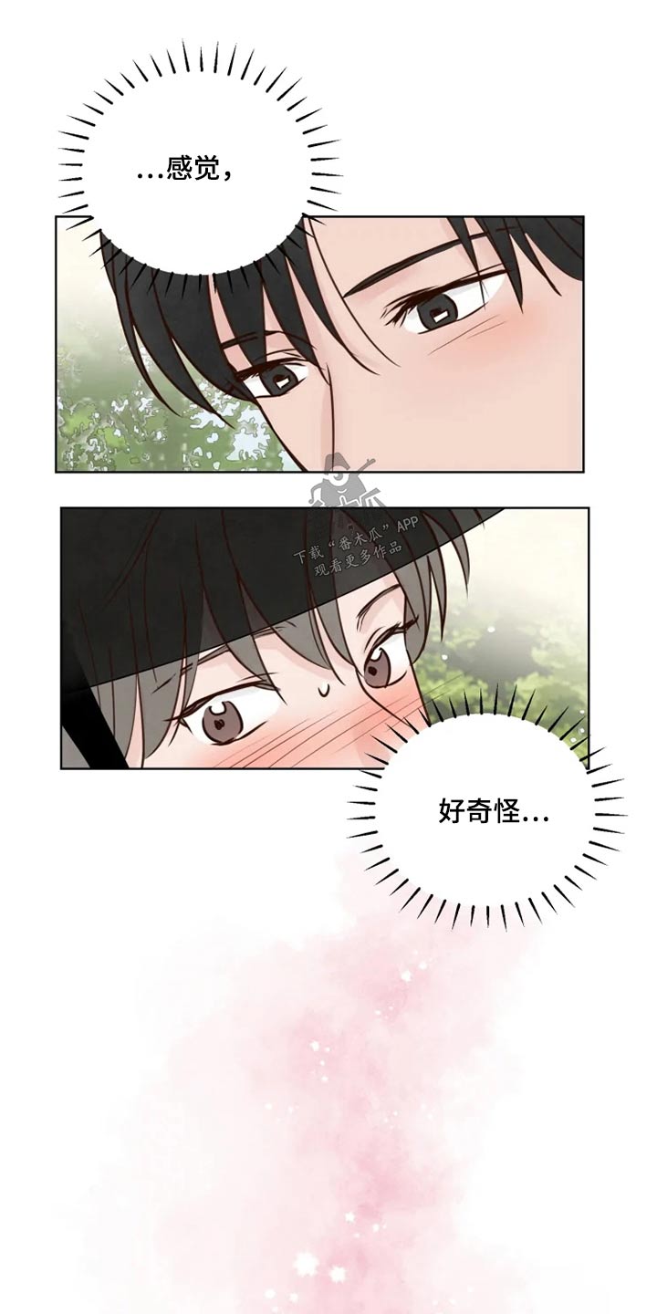 第31章：怎么办7