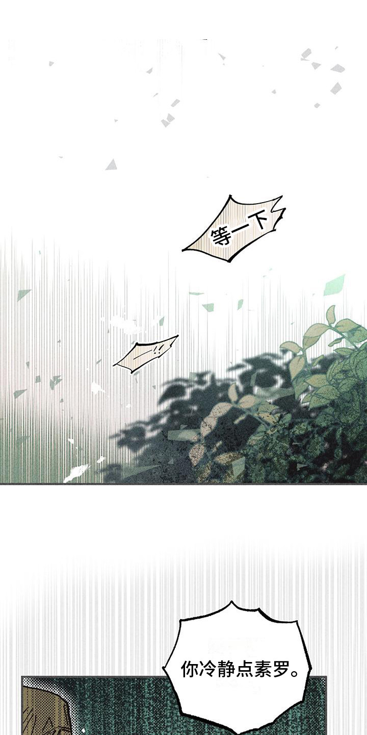 第19章：骚动6