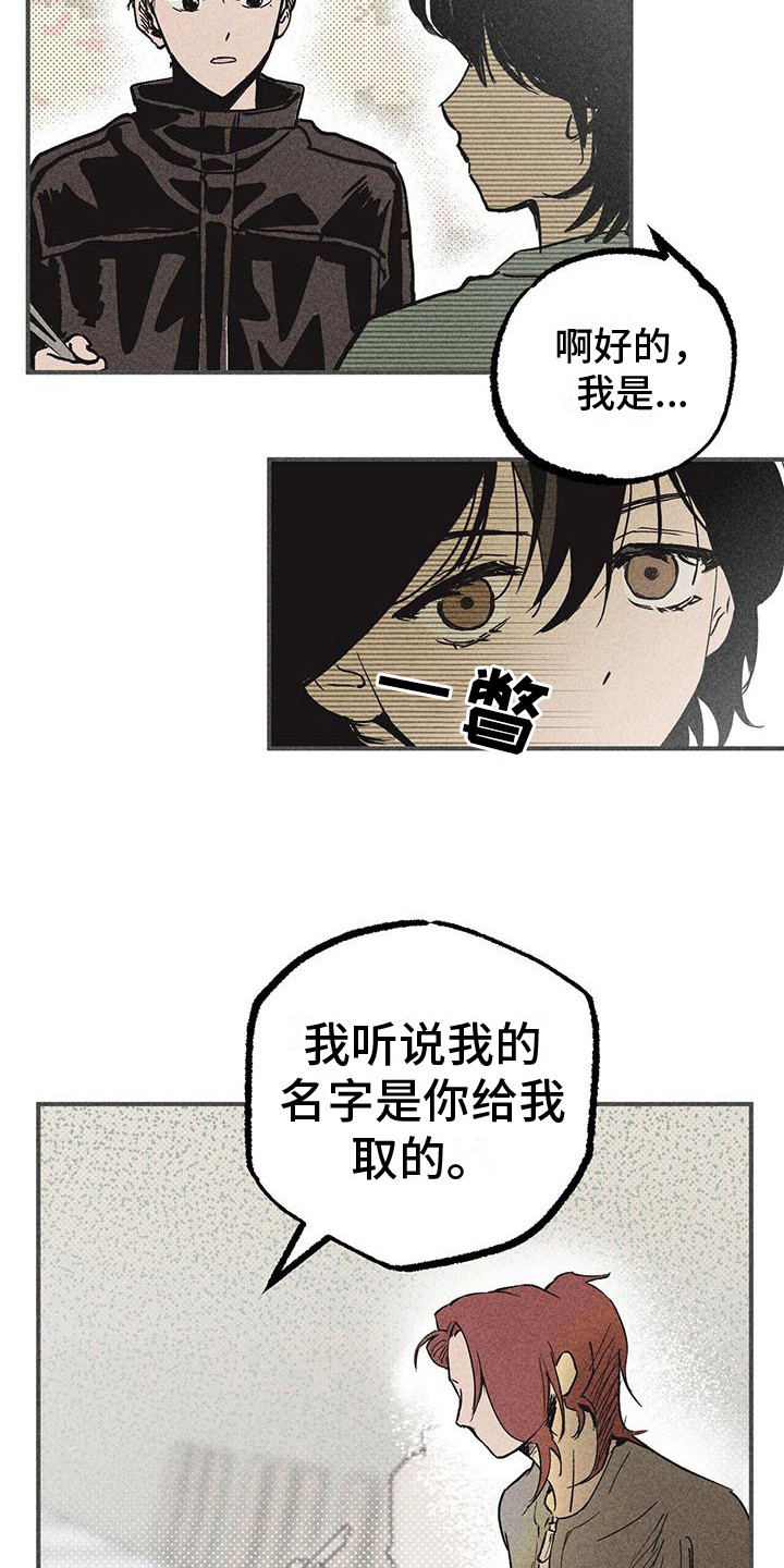 第8章：好奇心6