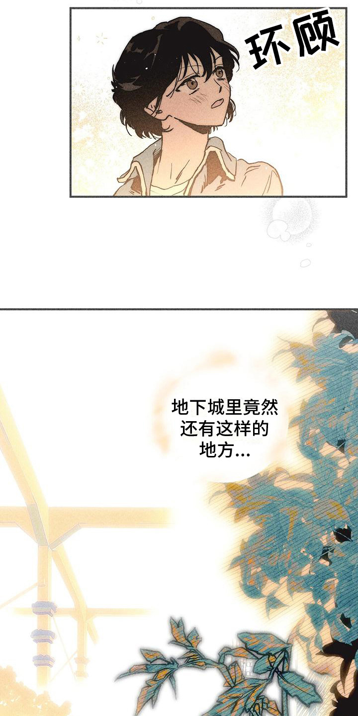 第14章：农林部13