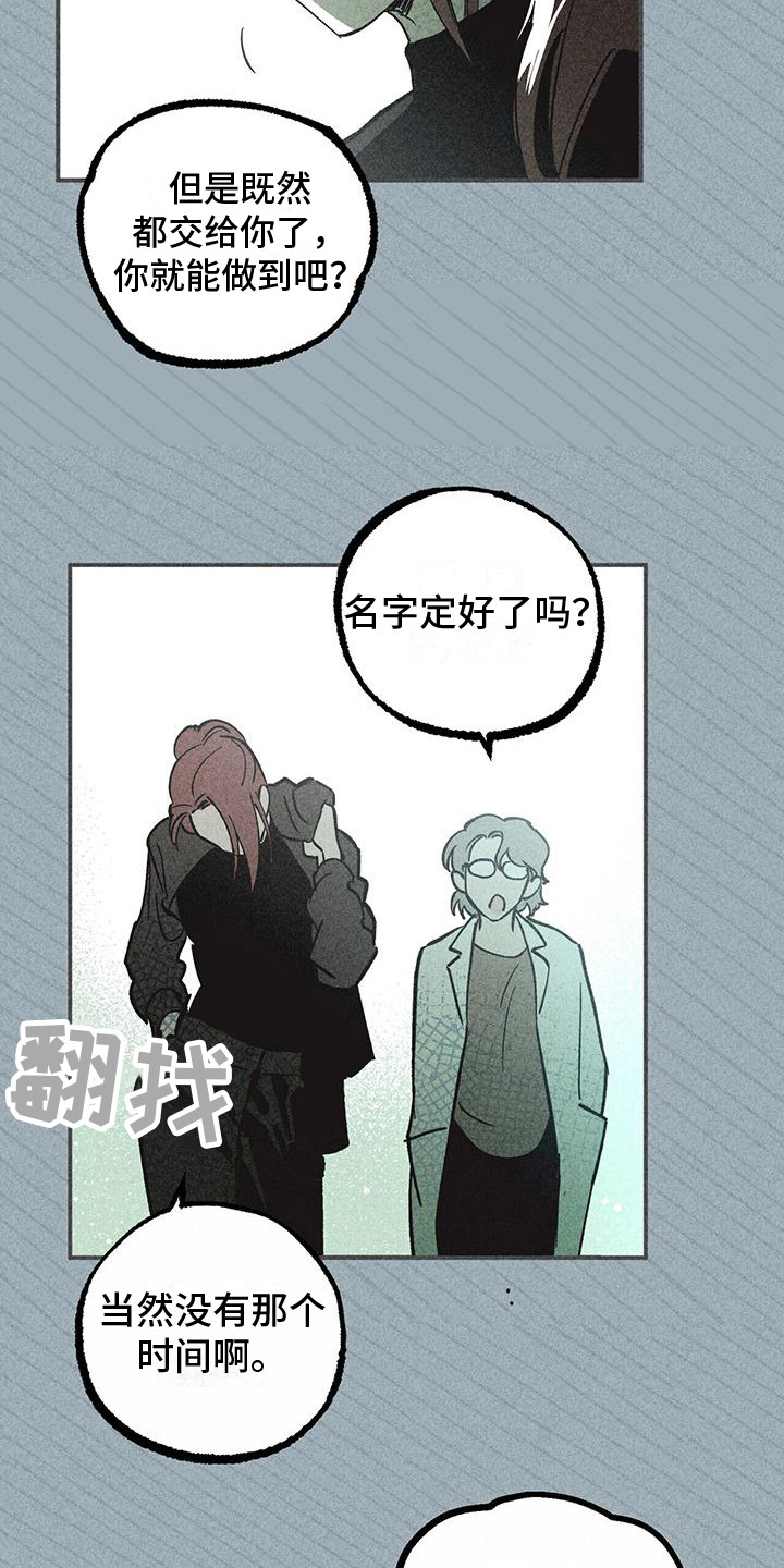 第10章：小机灵11