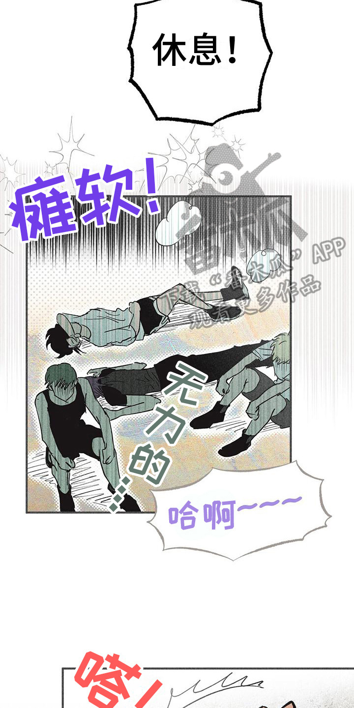 第11章：训练13