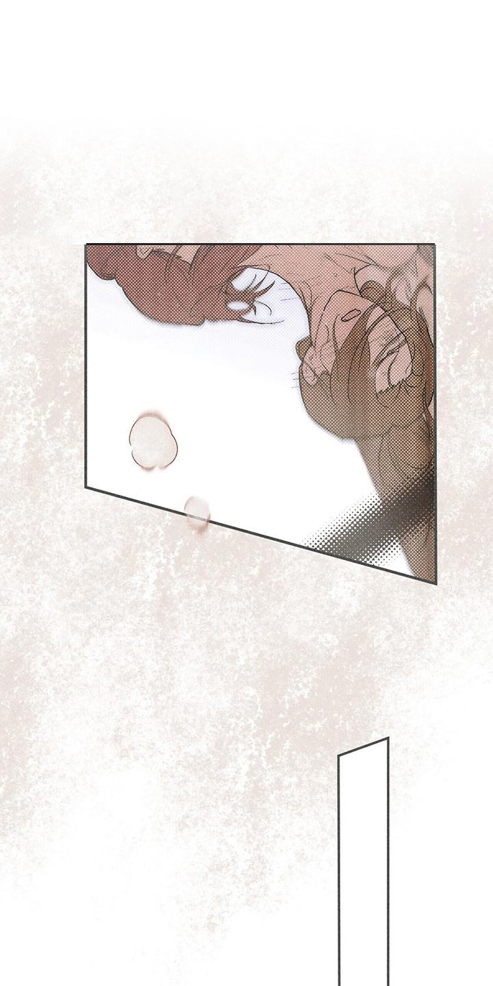 第31章：珍惜 7