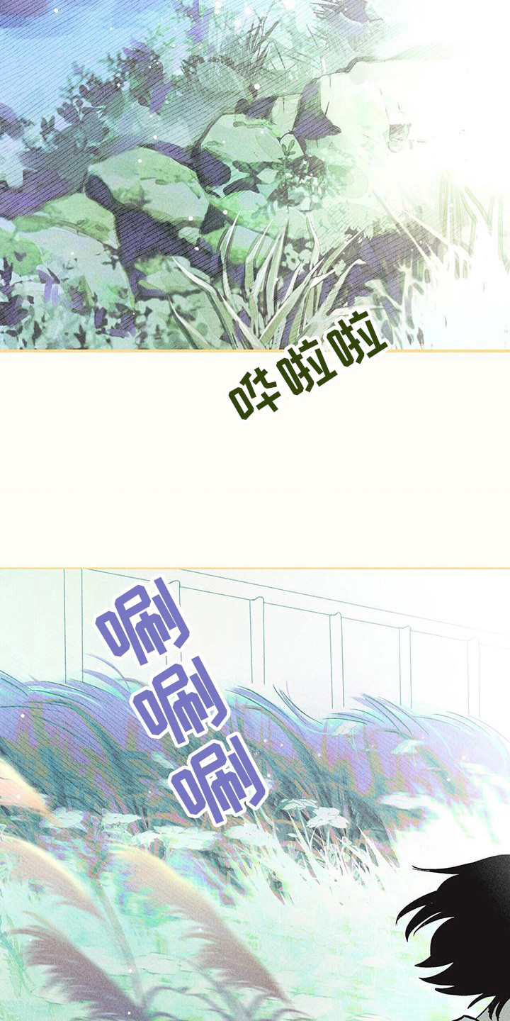 第12章：慢慢适应14