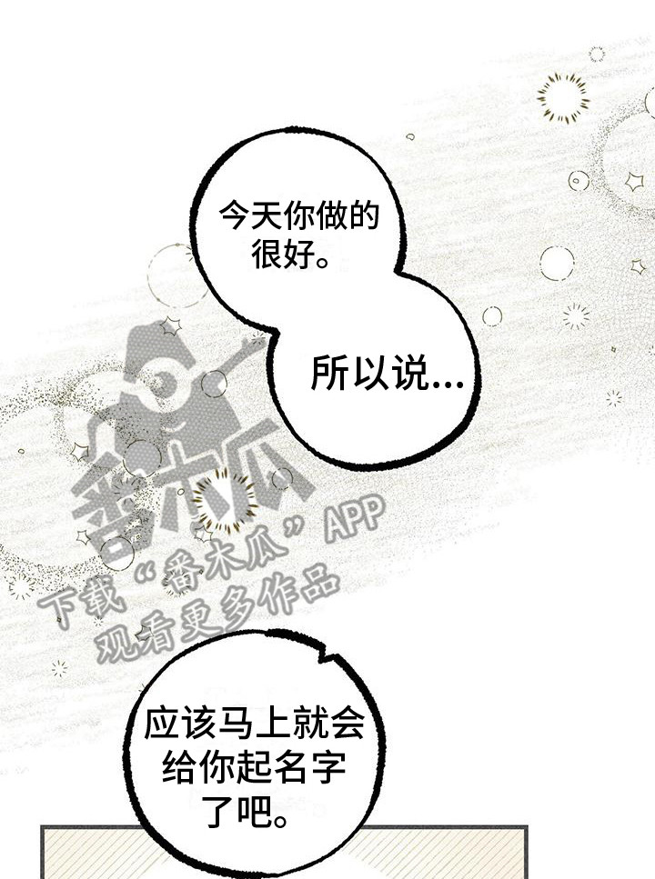 第29章：声音 1
