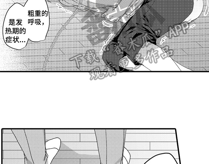第14章：决定6