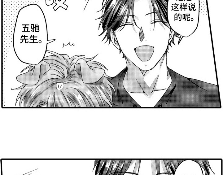 第16章：安排33