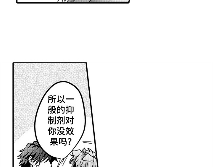 第2章：检查29
