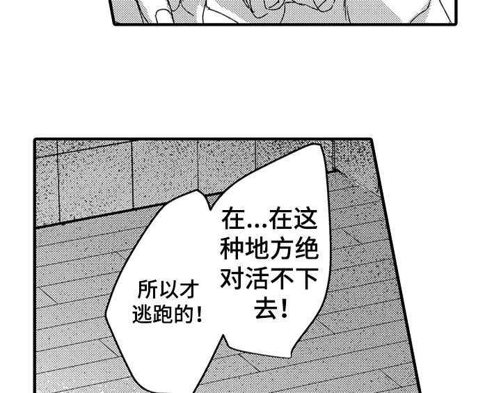 第13章：试药14