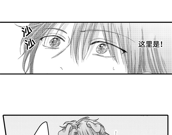 第13章：试药2