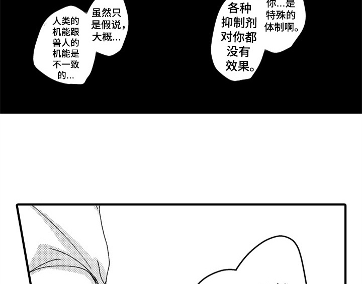 第13章：试药19