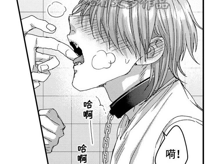 第13章：试药32