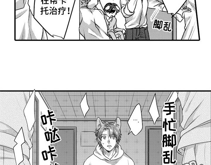 第5章：收留36