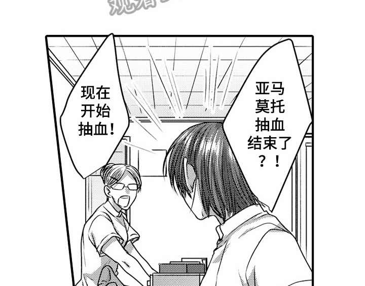 第5章：收留33