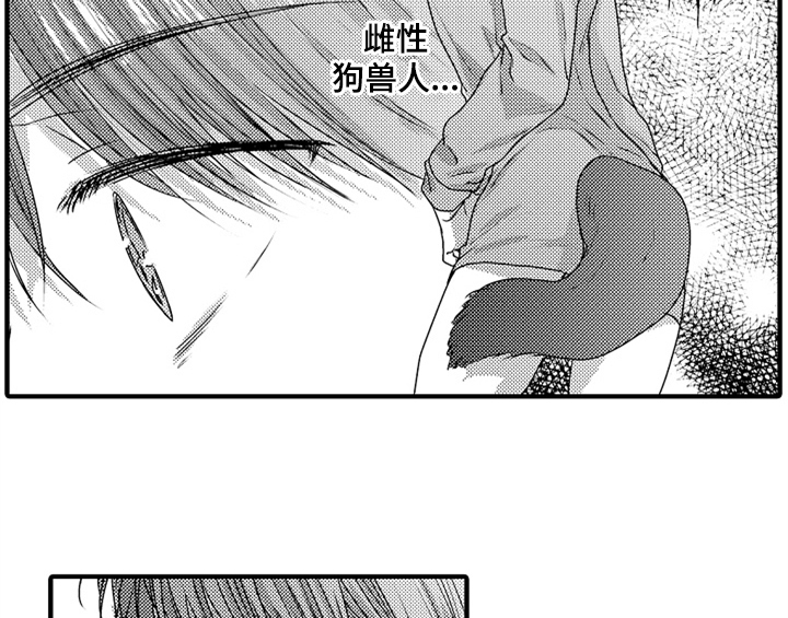 第7章：气味3