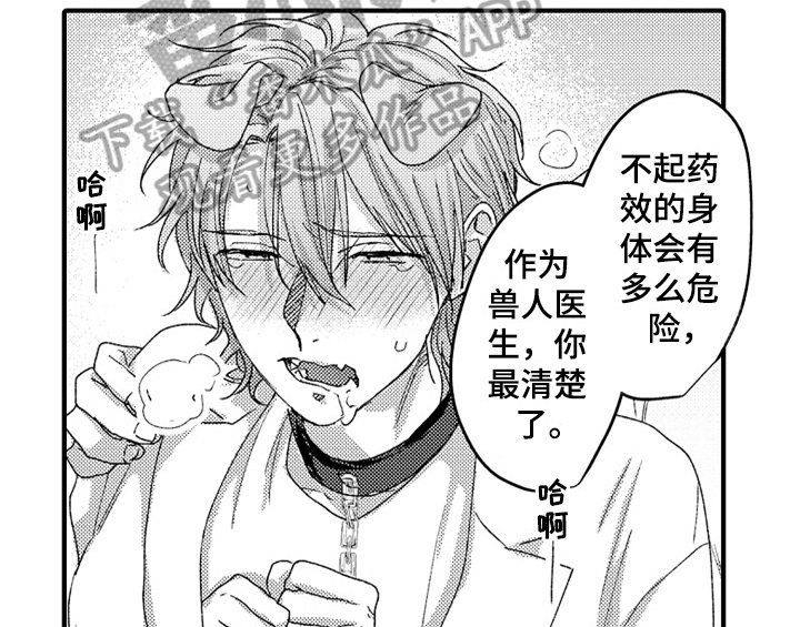 第16章：安排15
