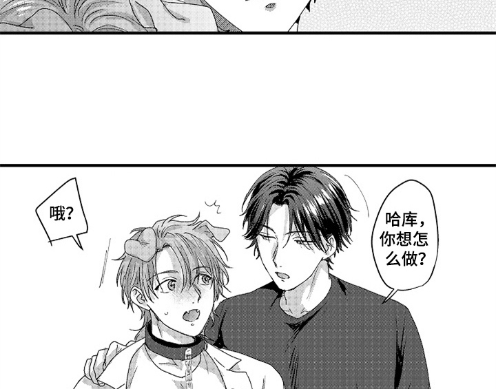 第16章：安排17