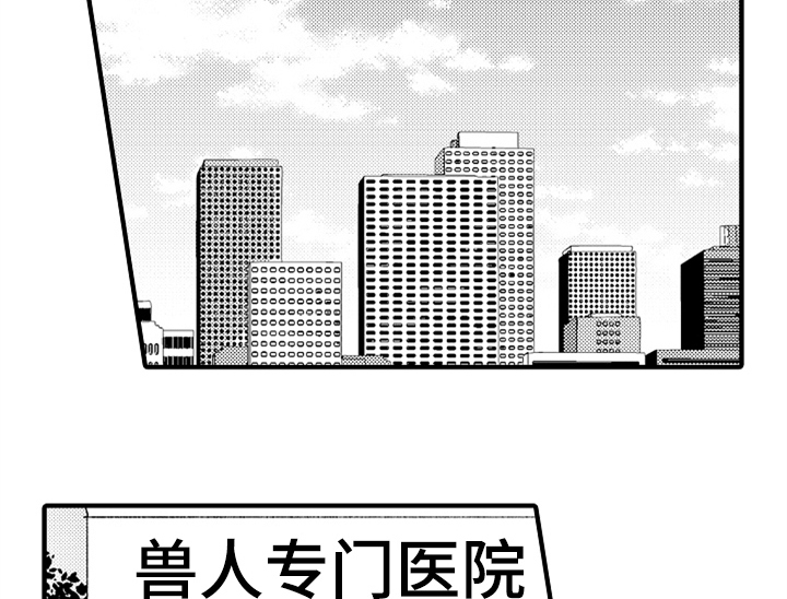 第18章：助手19