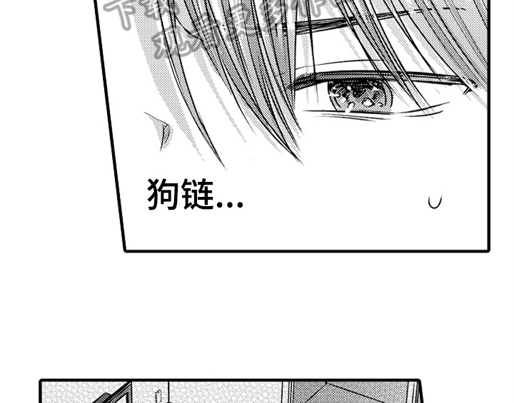 第5章：收留6