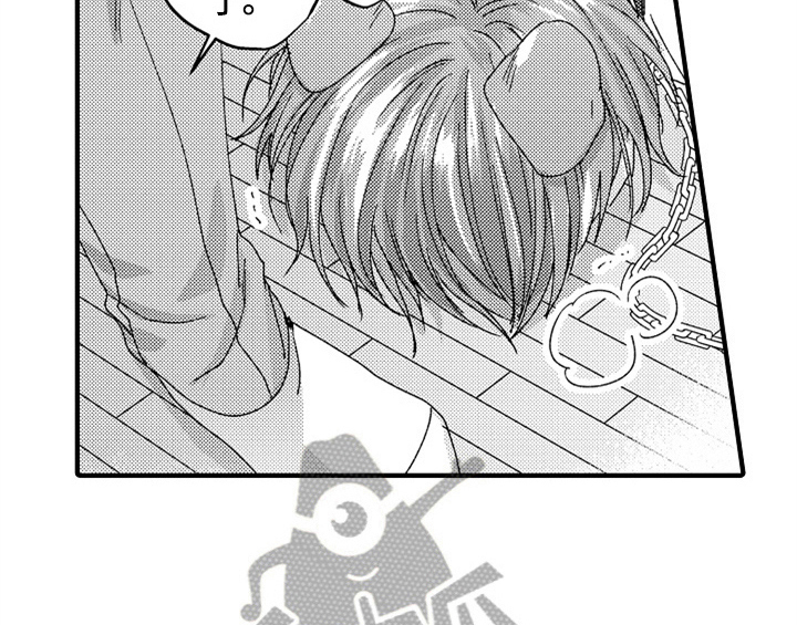 第14章：决定20