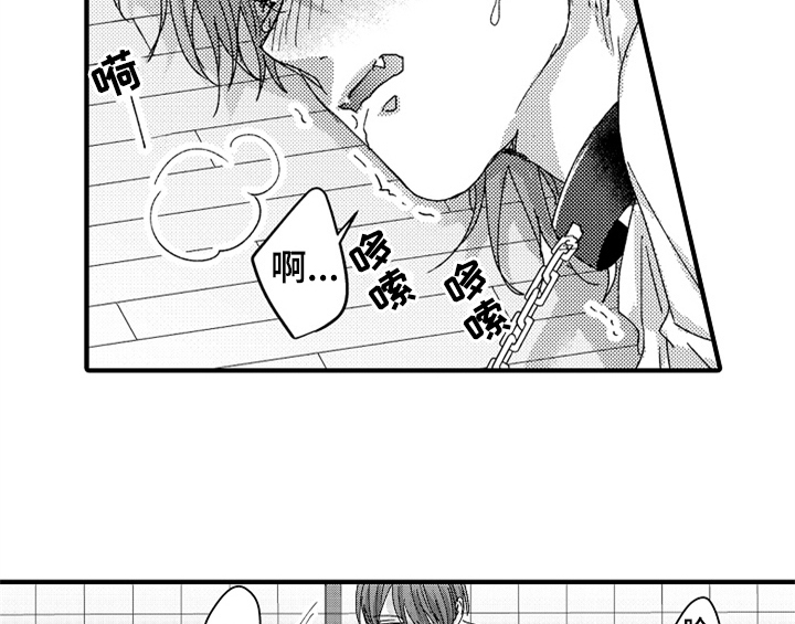 第14章：决定4