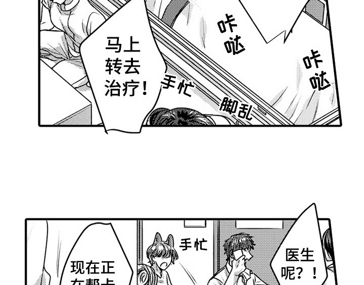 第5章：收留35