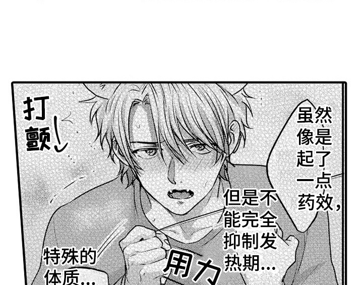 第7章：气味31